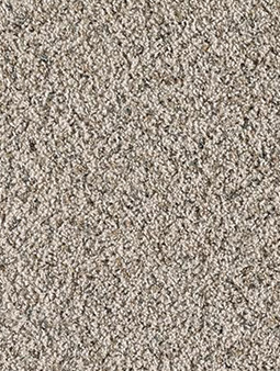 Textured Plush Carpeting Pittsburgh